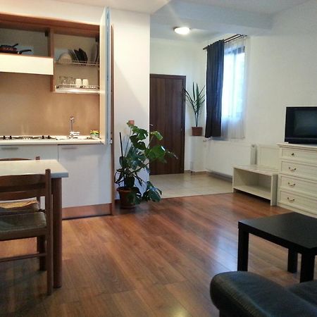 Banu Manta Apartments Бухарест Номер фото