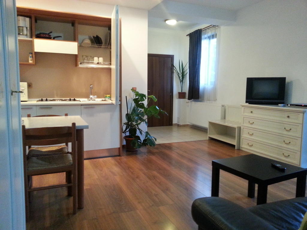Banu Manta Apartments Бухарест Номер фото